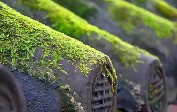 《解深密经》聆志居士5