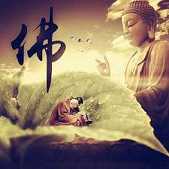 白隐慧鹤