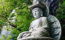 https://m.lengyanns.com/btaopic/ojoyuan/53481.html