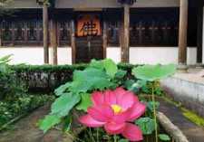 五时八教