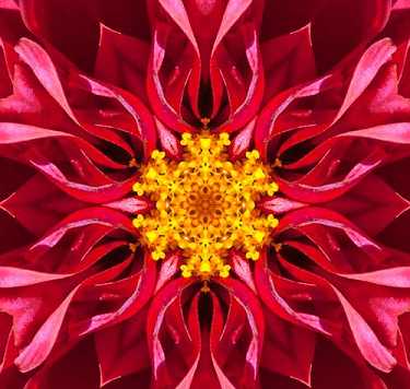 普门品求姻缘感应