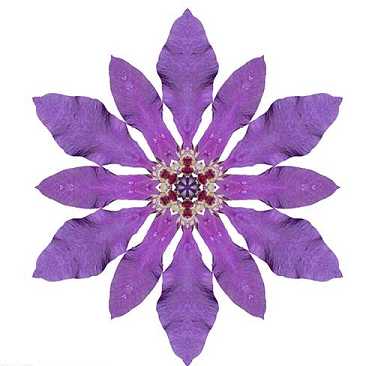 普门品感应故事