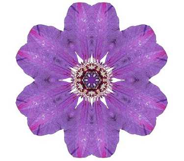 普门品念诵感应