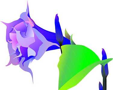 普门品的近代感应