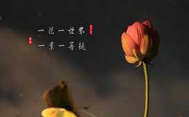 往生的概念