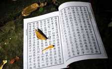 汲取到智慧后能够活学活用才是最重要的