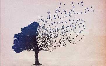 荆三隆开示佛教的处世观