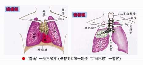 拜佛与医学 第一讲
