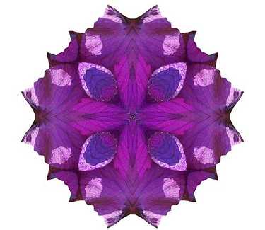 金刚经繁体